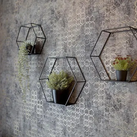 Apartamento Gold Mandala By Bltn