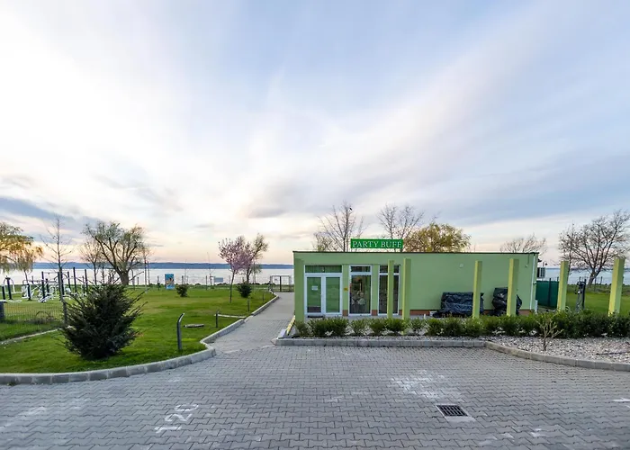 Gold Mandala By Bltn